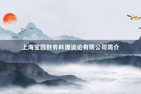 上海宝园财务料理谈论有限公司简介